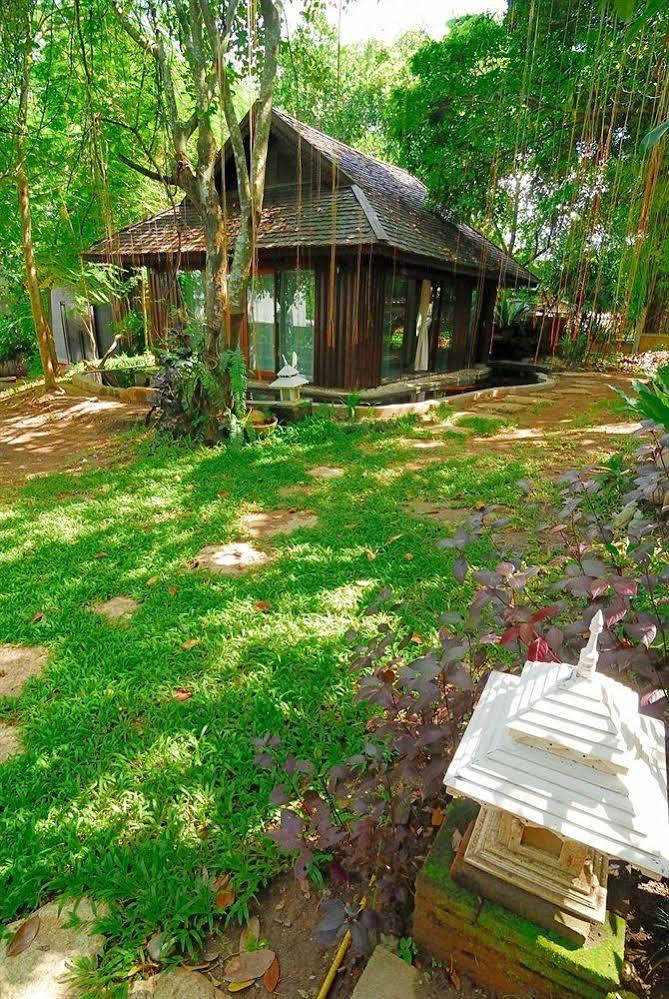 Viva Chiang Mai Nature Home Stay Eksteriør billede